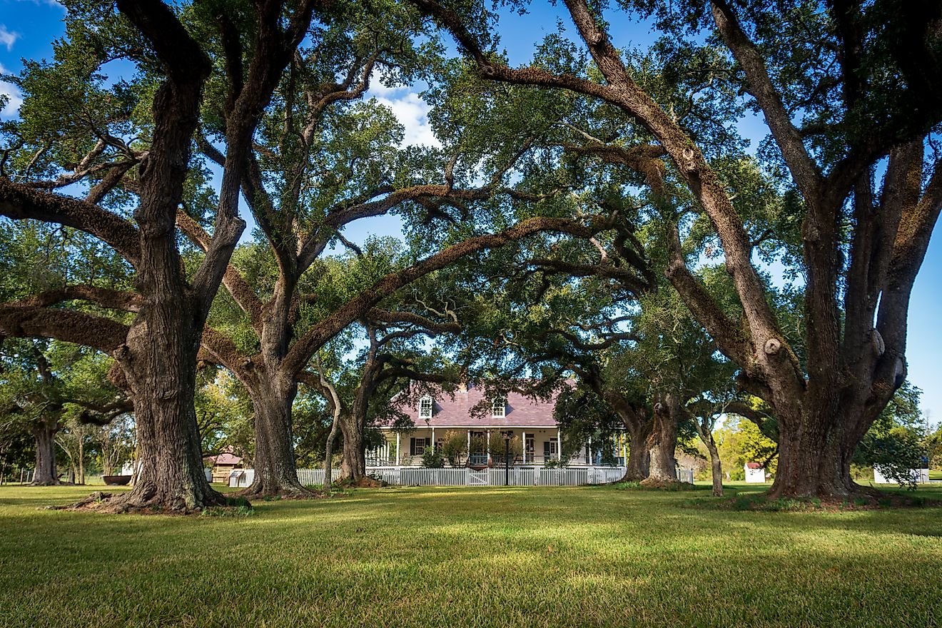 The Cane River Creole National Historical Park near Natchitoches, Louisiana.