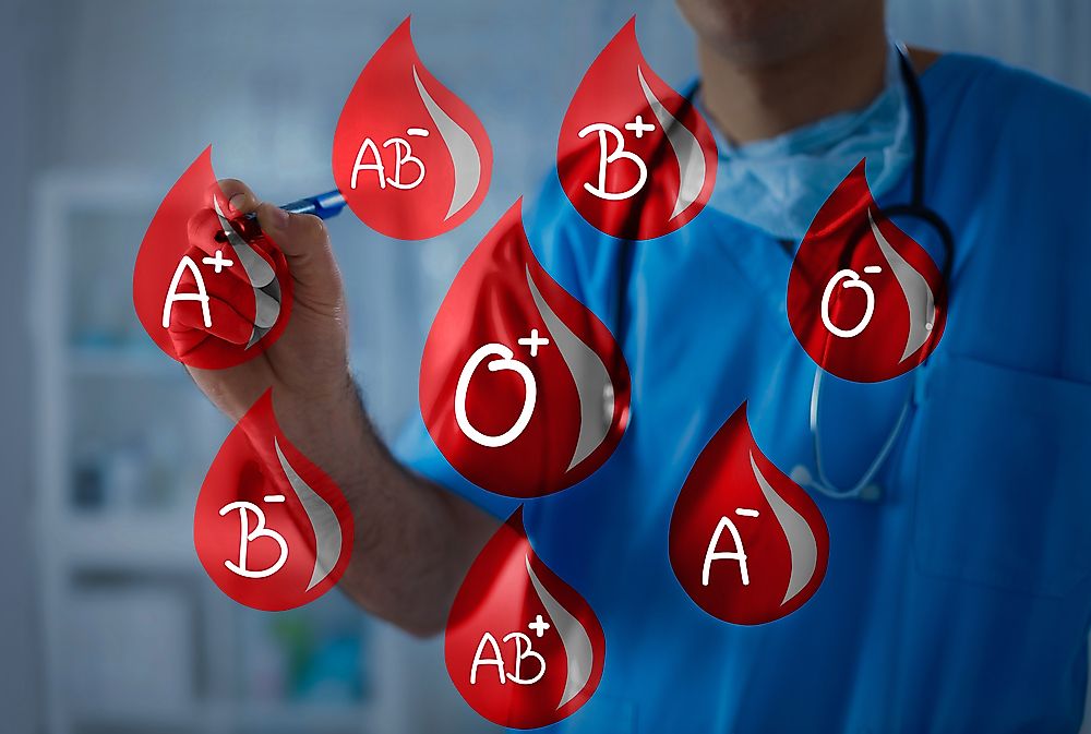 Blood groups are categorized by antibodies and substances contained (or lacking) in the blood.