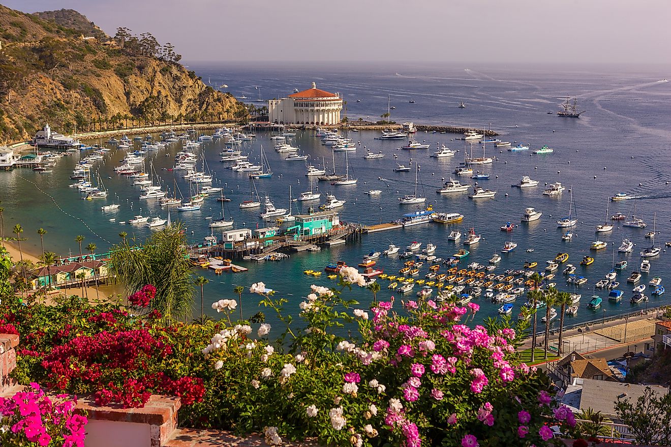 Aerial view of Avalon, Santa Catalina Island, California. Editorial credit: Rob Crandall / Shutterstock.com.