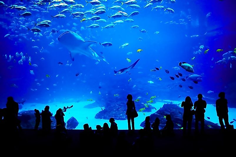 10 Largest Aquariums in the World (+Photos) - Touropia