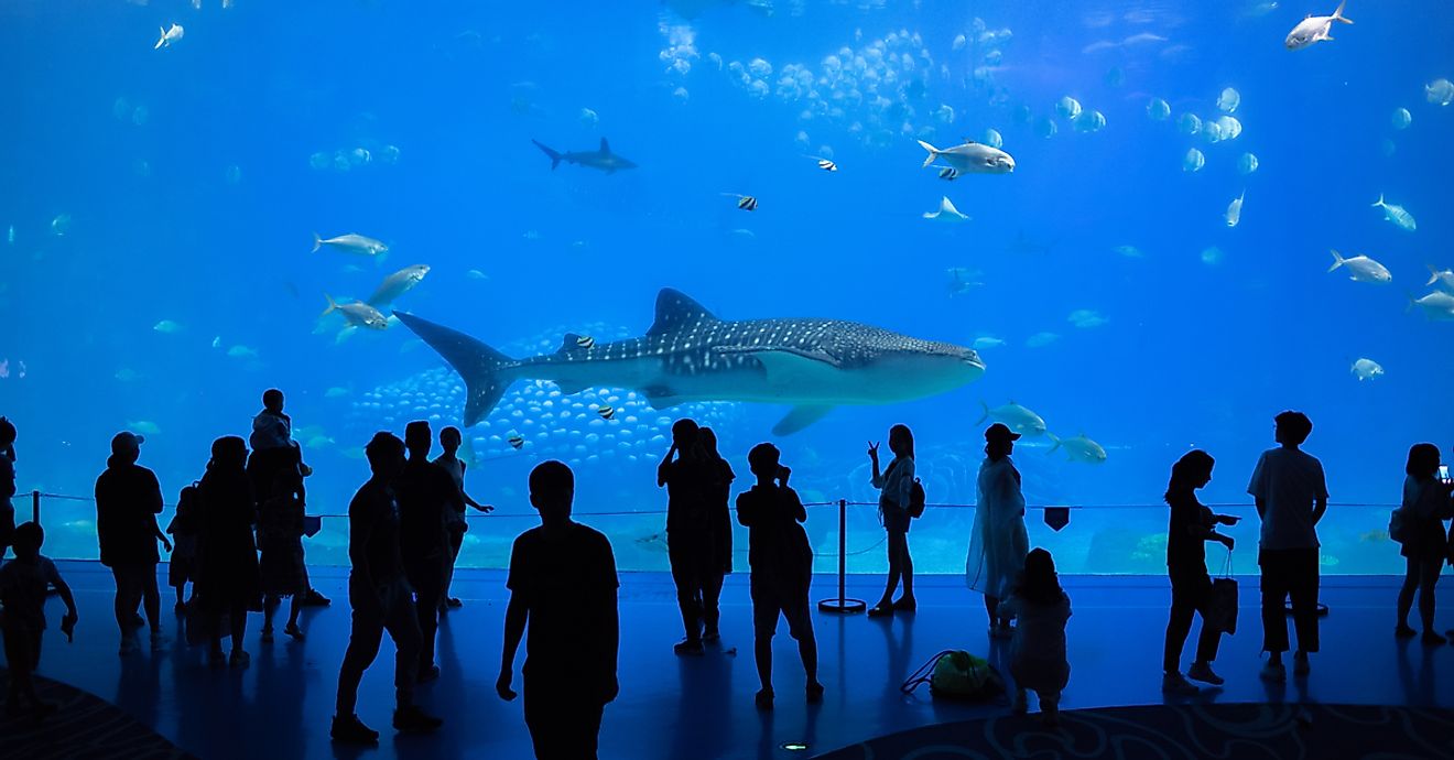 The Biggest Aquariums In The World - WorldAtlas