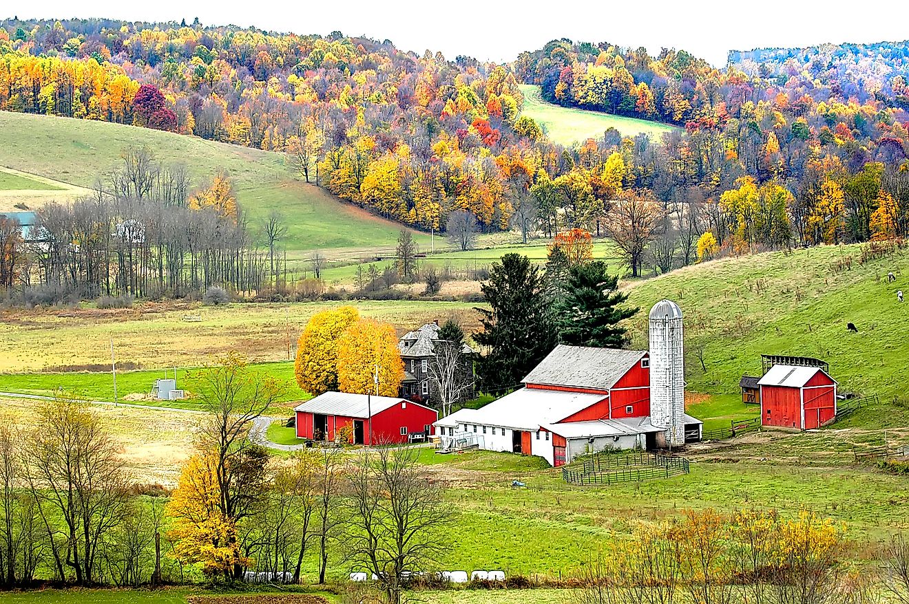 Amish lifestyle and farmhouse scenic without electrical wires in and around Sugarcreek and Millersburg, Ohio. Image credit Dennis MacDonald via Shutterstock