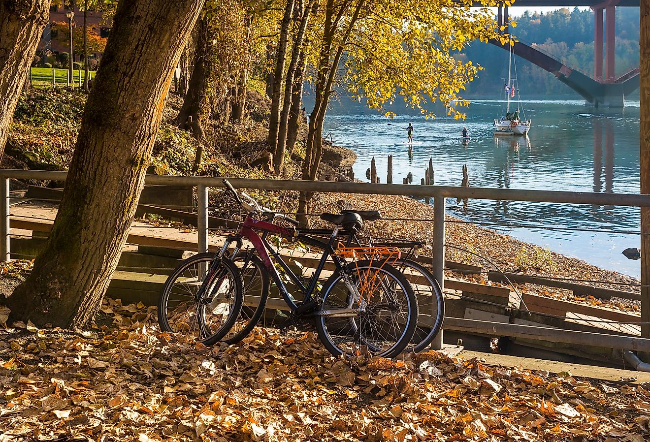 Beautiful sunny autumn day in a city park in Milwaukie, Oregon. Image credit Victoria Ditkovsky via Shutterstock