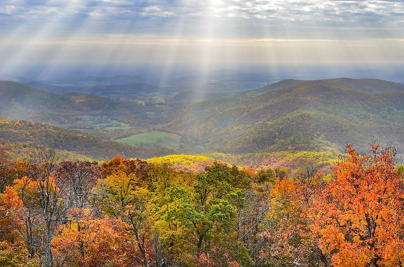 Shenandoah National Park in Virginia during autumn, featuring vibrant foliage.