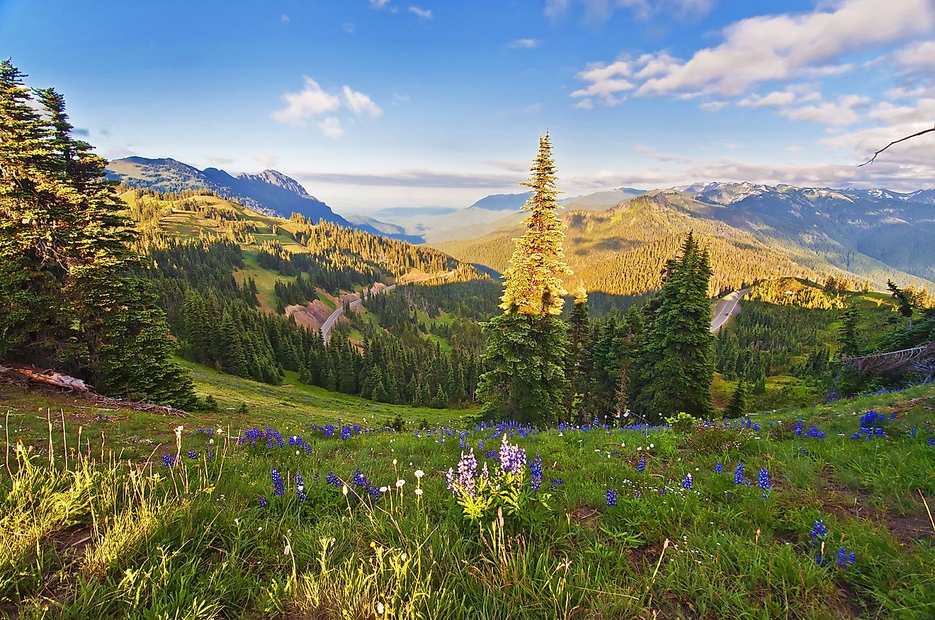 Olympic National Park