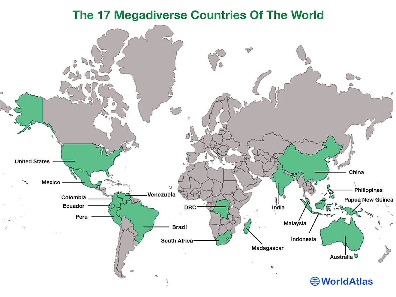 What is Skype? - WorldAtlas