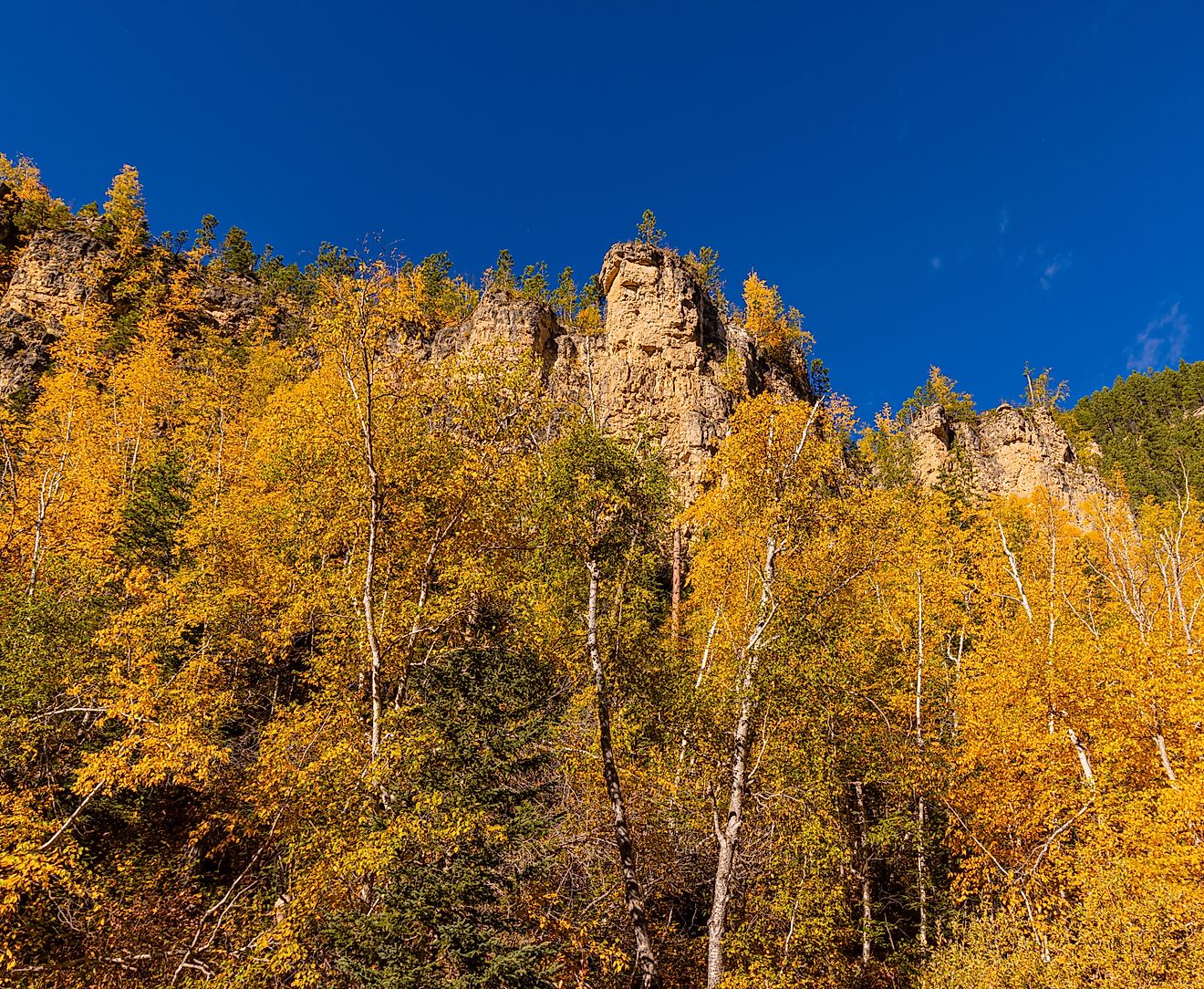 Spearfish Canyon, South Dakota.