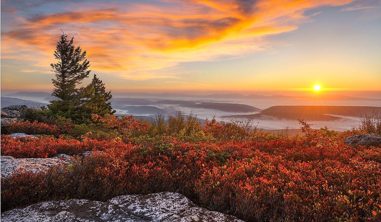 Sunrise over the Allegheny Front from atop Bear Rocks in West Virginia's Dolly Sods Wilderness