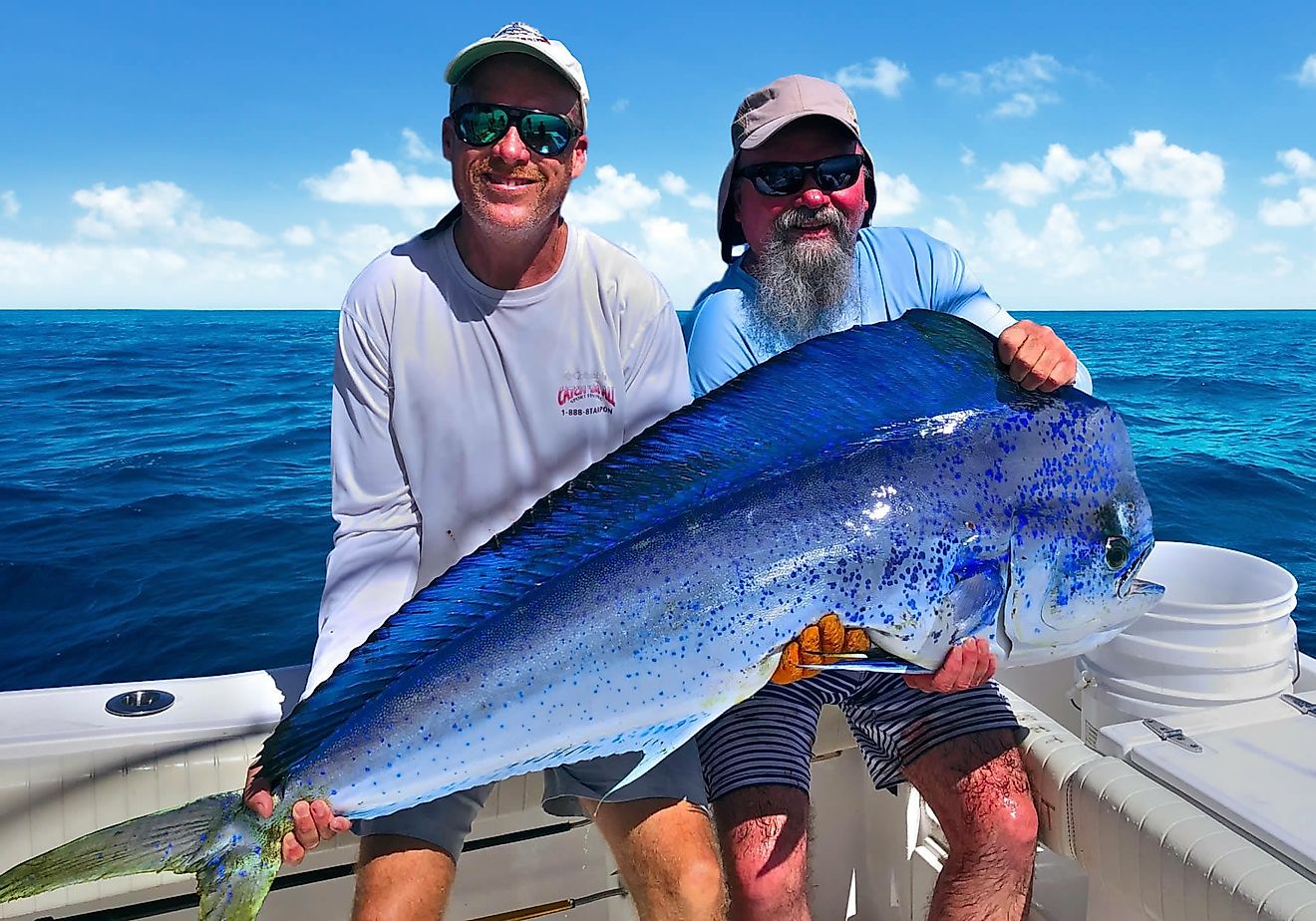 Deep sea fishing in the Florida Keys