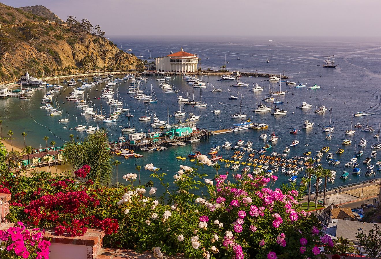 Flowers, harbor and Casino in the isolated town of Avalon, Santa Catalina Island. Image credit Rob Crandall via Shutterstock