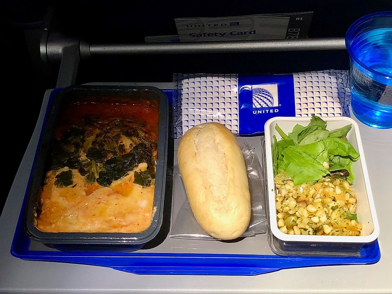 What Airplane Food Looks Like On Different Airlines WorldAtlas