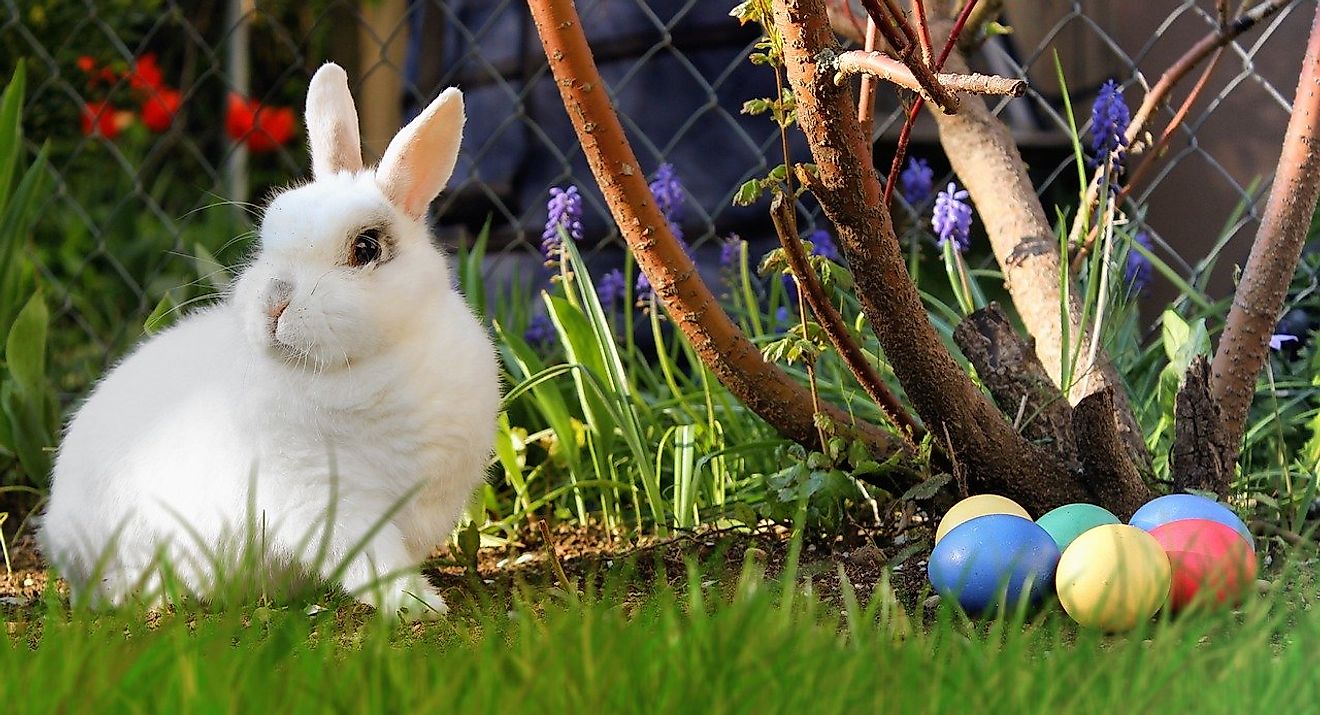 10 Different Ways Easter Is Celebrated Around The World WorldAtlas