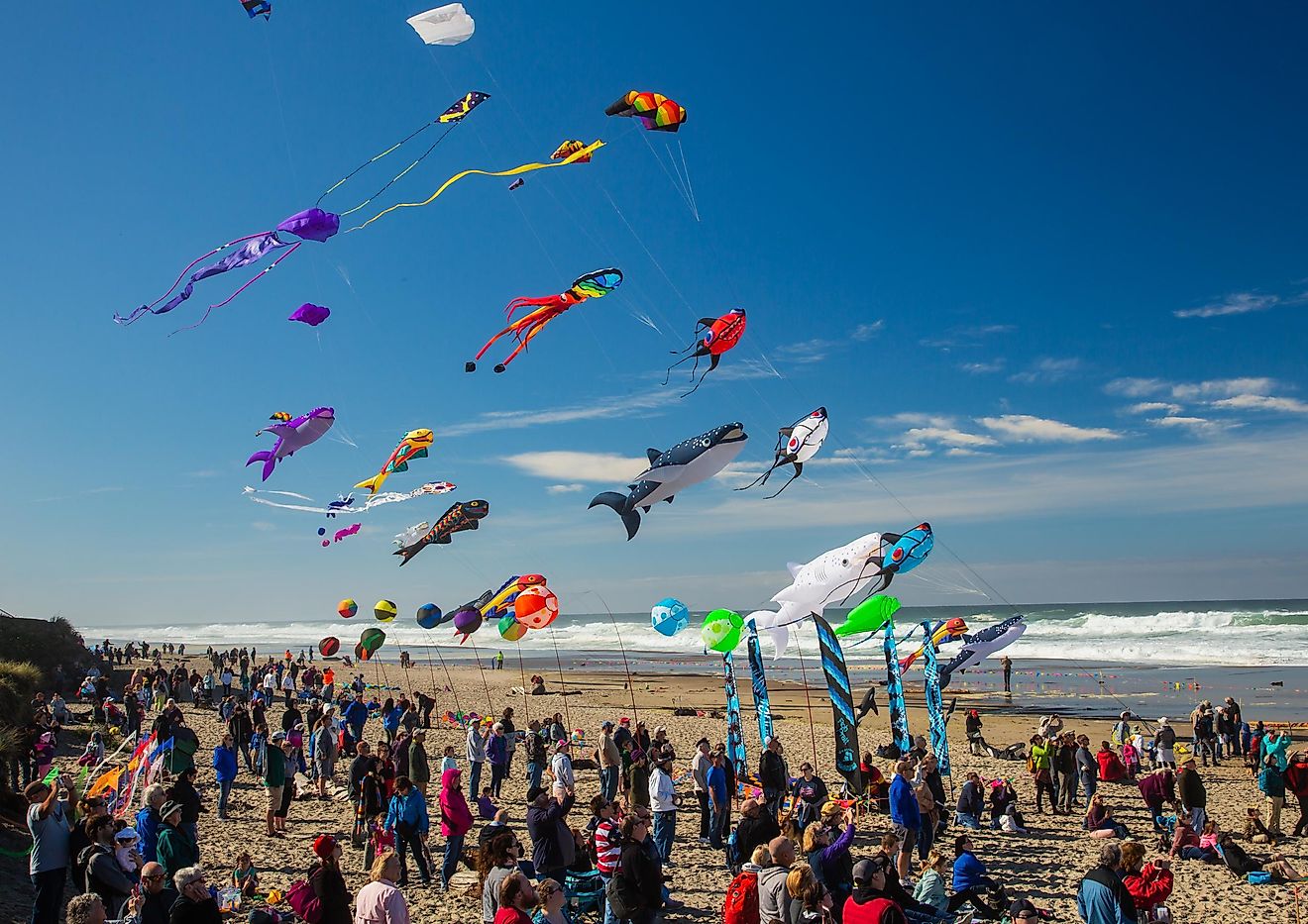 Annual Kite Festival in Lincoln City, Oregon. Editorial credit: Bob Pool / Shutterstock.com