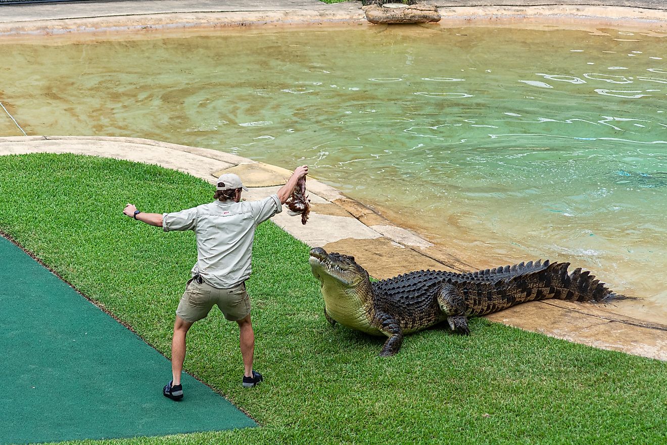 Australia Zoo in Beerwah, Queensland, Australia. Editorial credit: Photos by Febin / Shutterstock.com