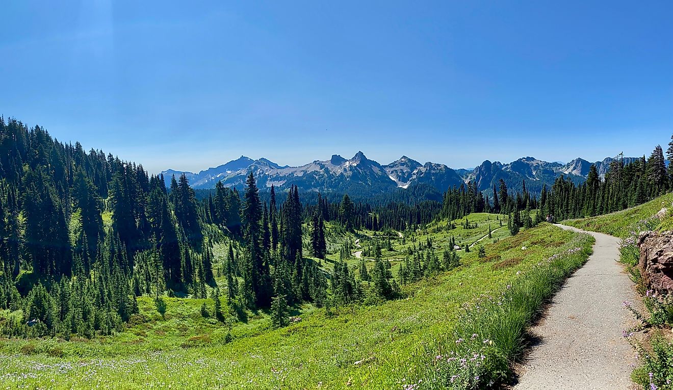 Landscape nature trail hiking in Mount Rainer Washington.