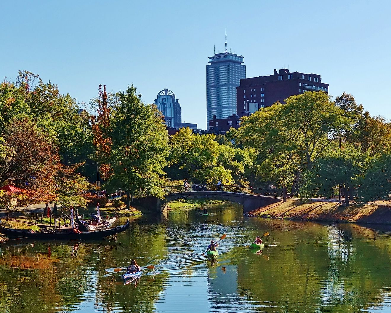 Kayaks on the Charles River Esplanade in Boston Massachusetts