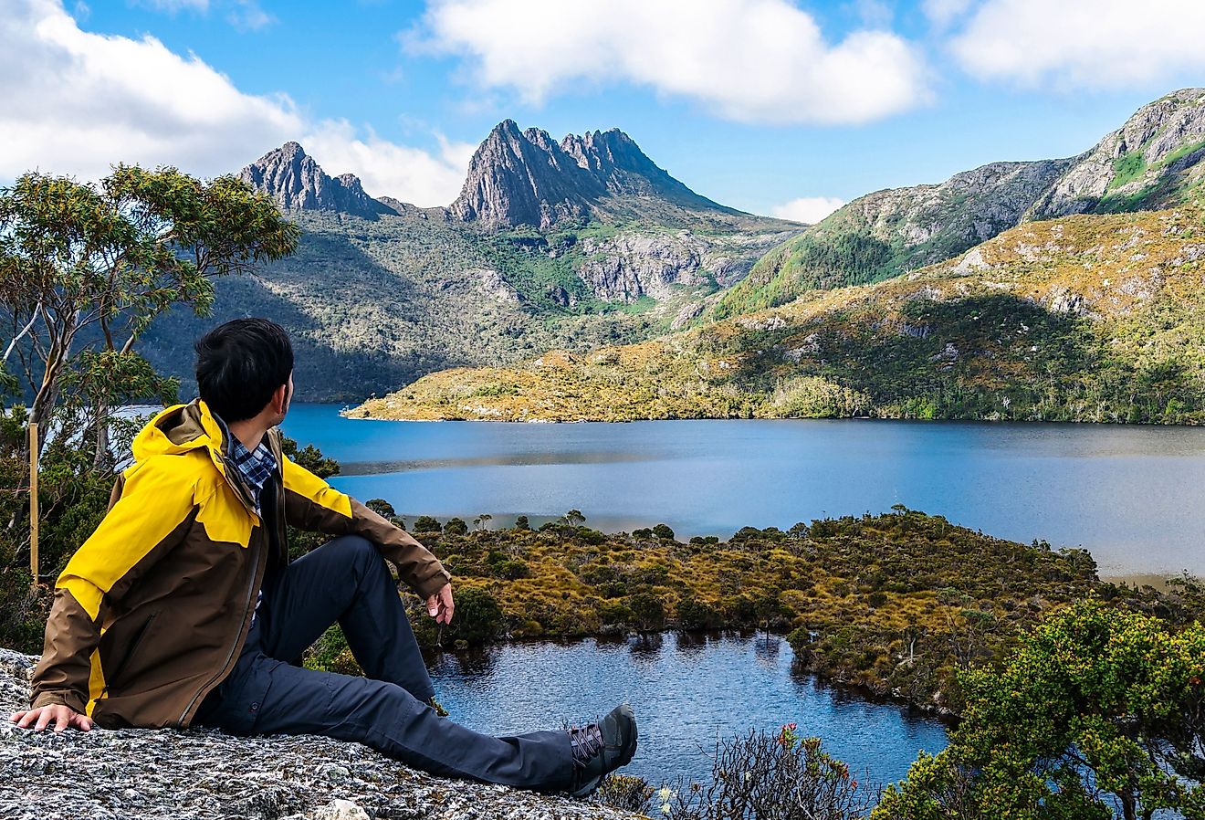  A traveler exploring the landscape of Marions Lookout trail in Cradle Mountain National Park