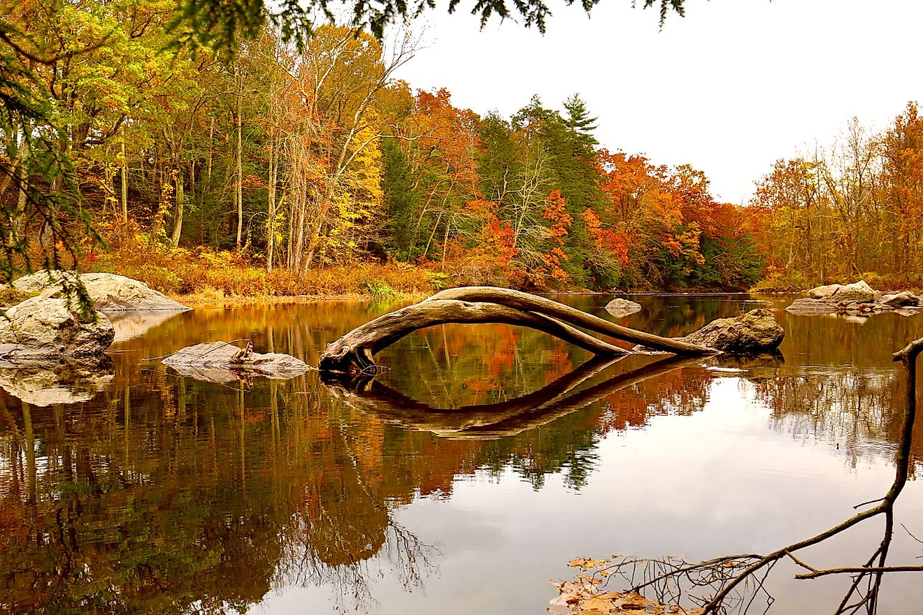 The Farmington River flowing through the Nepaug State Forest.