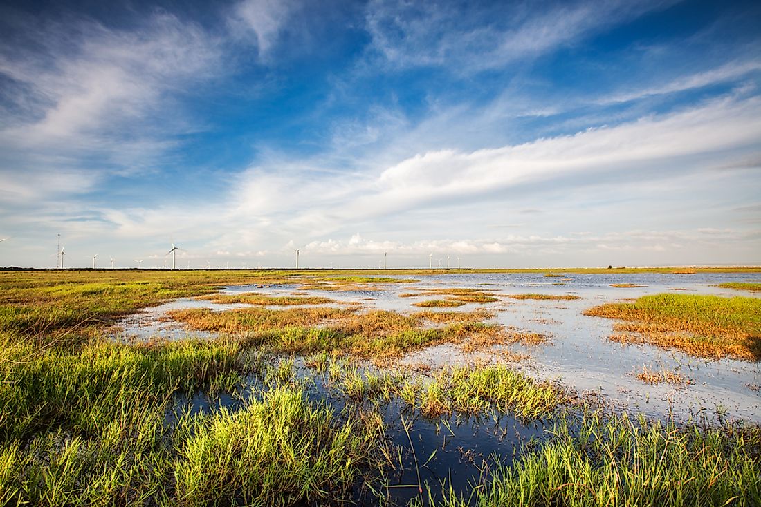 what-is-a-wetland-worldatlas