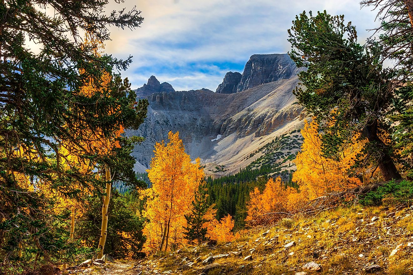 View of Wheeler Peak and fall foliage in the Great Basin National Park in Nevada.