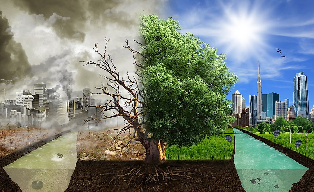 environmental impact on global warming