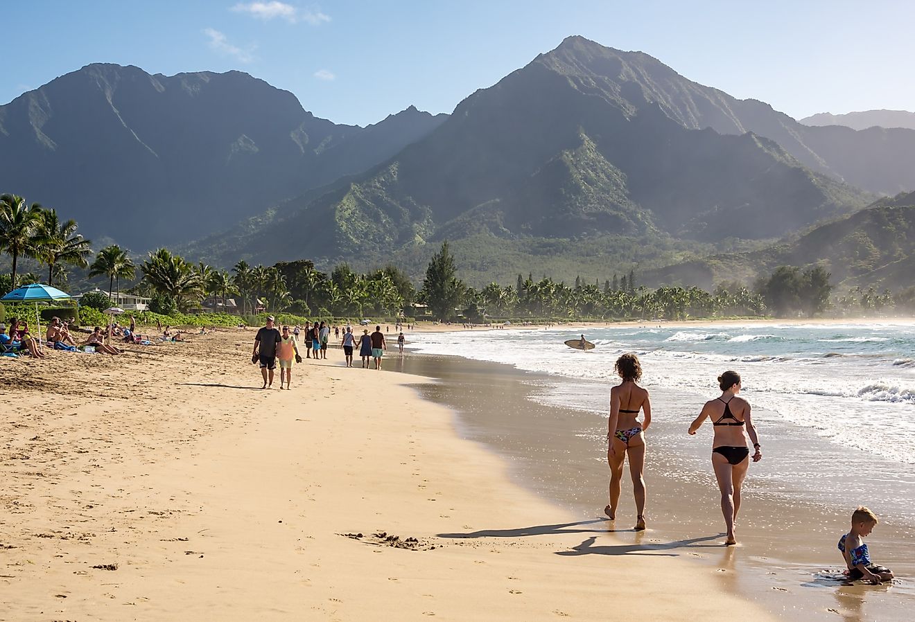 People along Hanalei Bay Beach in Hanalei, Hawaii. Image credit Chase Clausen via Shutterstock