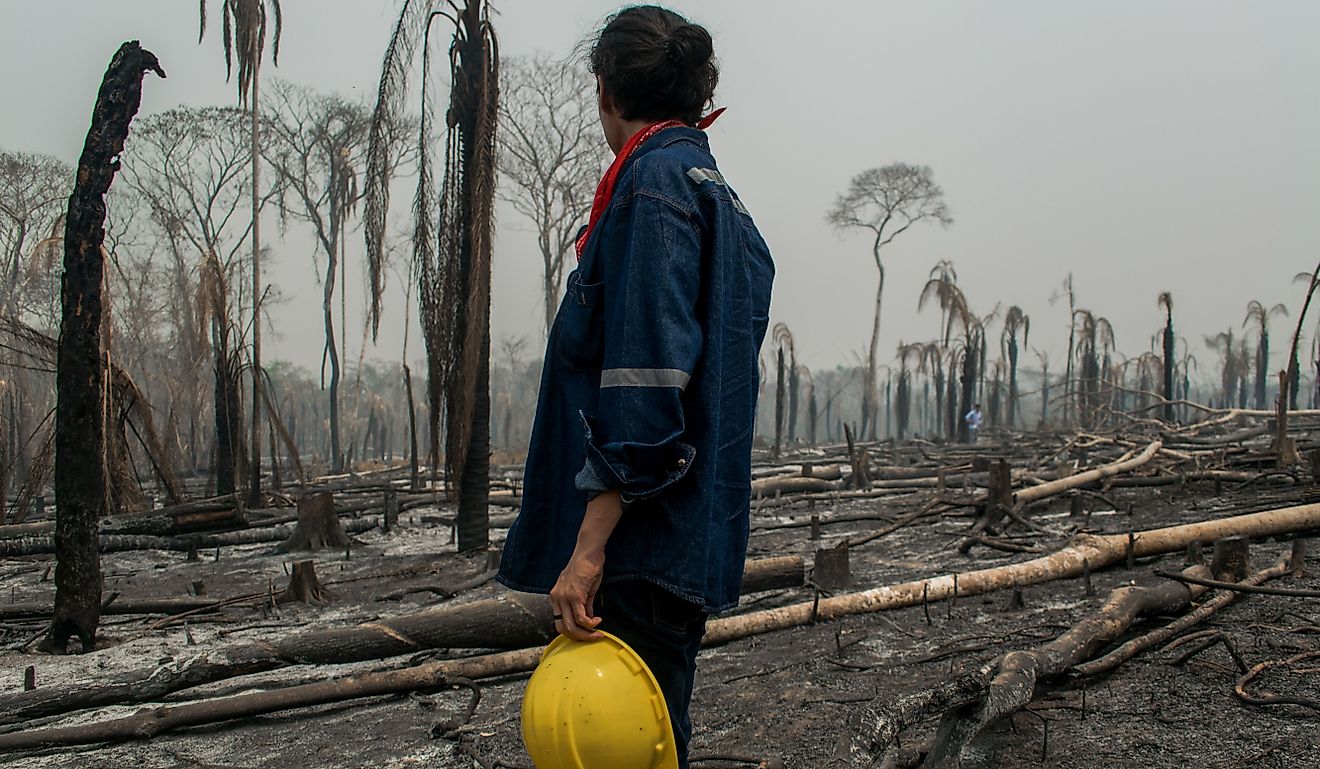 Santa Cruz, Bolivia. Firefighter watching the burned forest in the Bolivian Amazon. Editorial credit: Jeff Poquiviqui / Shutterstock.com
