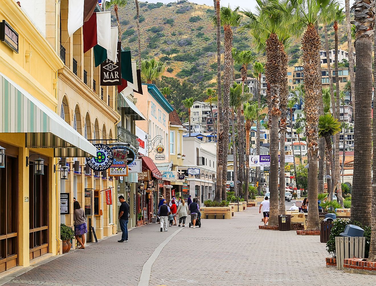 Avalon, California. Image credit Michael Rosebrock via shutterstock