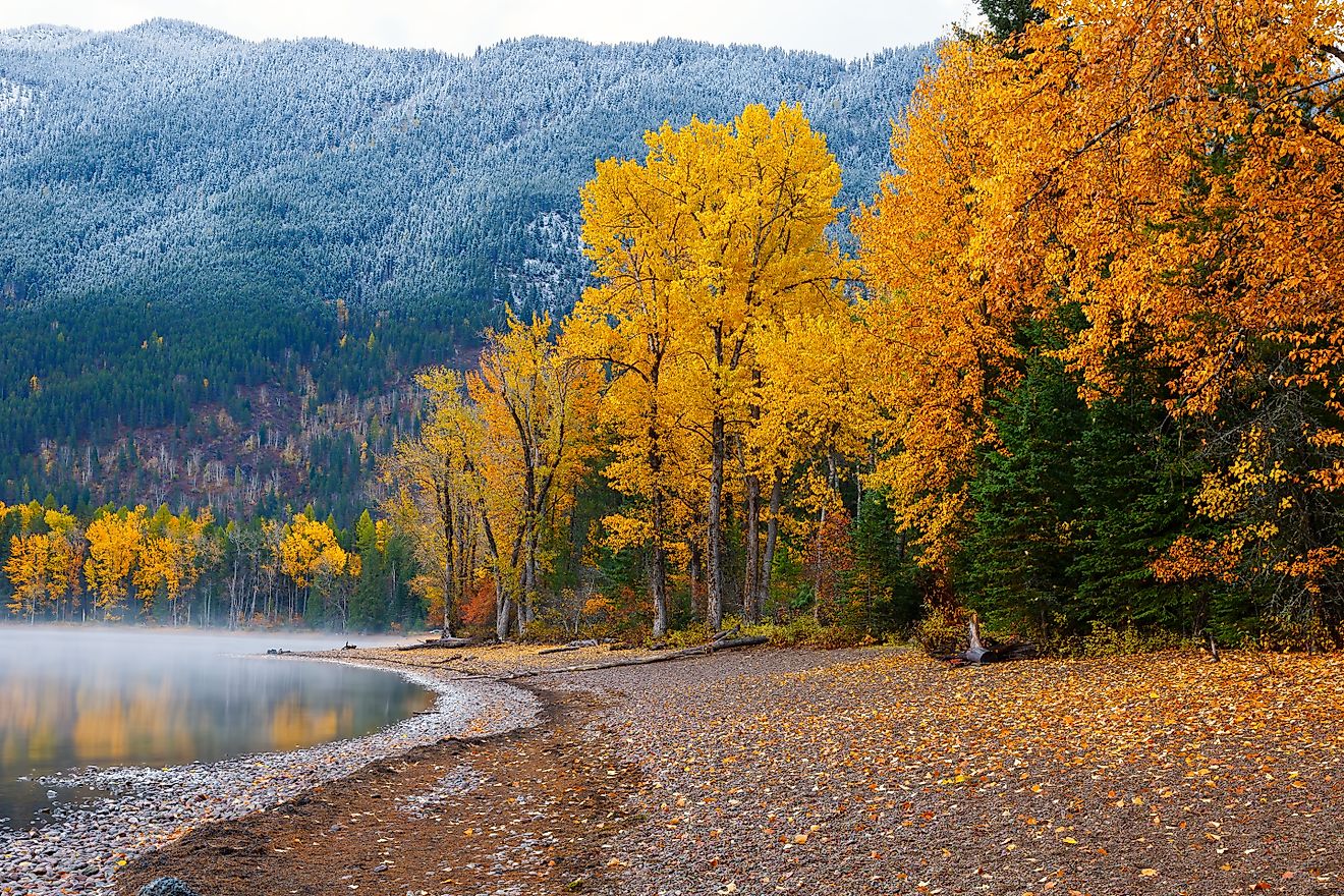 Fall foliage along the shore of Lake McDonald in Glacier National Park in Montana.