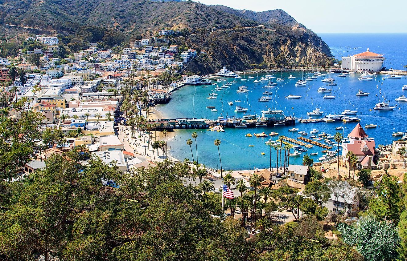 Aerial view of Avalon, California.