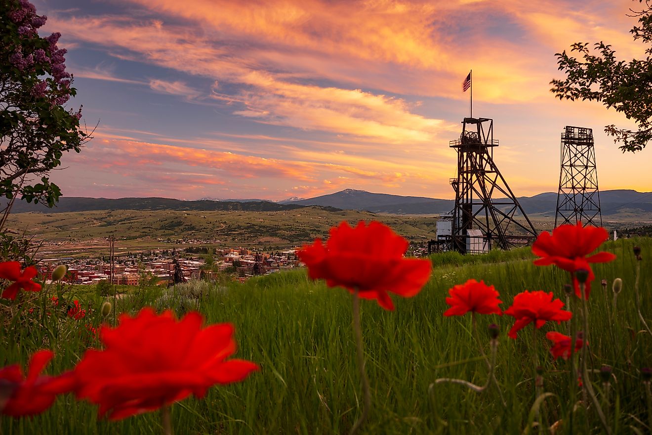 One of fourteen headframes, nicked named "gallows frames", dot the Butte, Montana skyline which mark the remnants of mines that made the area