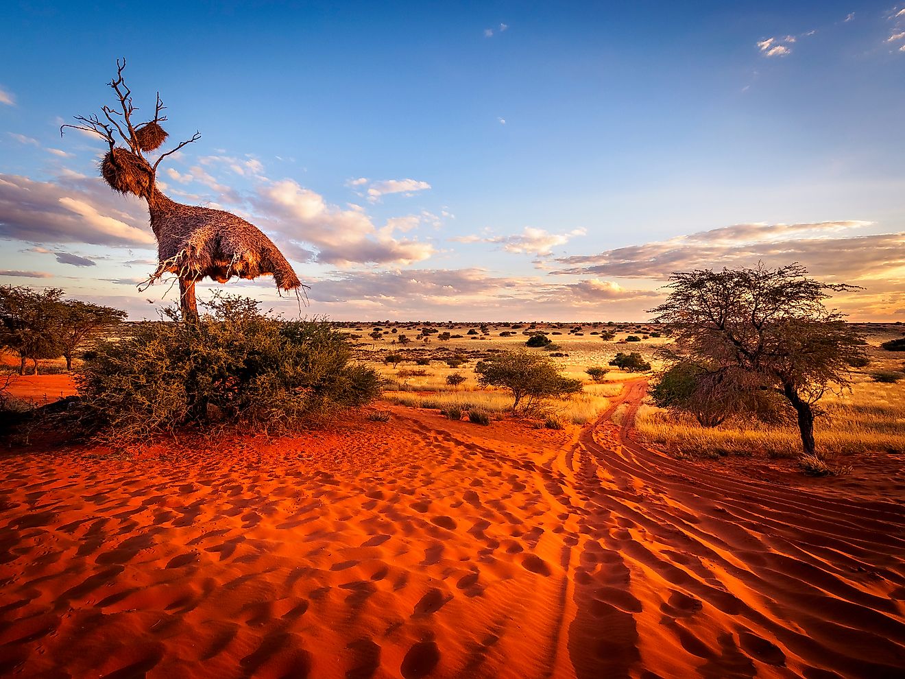 The Kalahari Desert Worldatlas