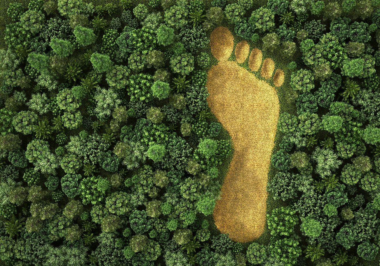 what-is-an-ecological-footprint-worldatlas
