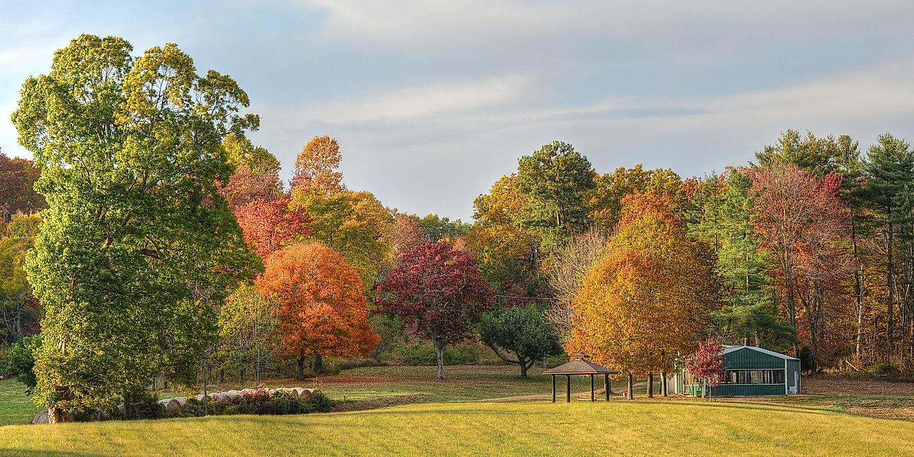 Fall scenery in Indiana.