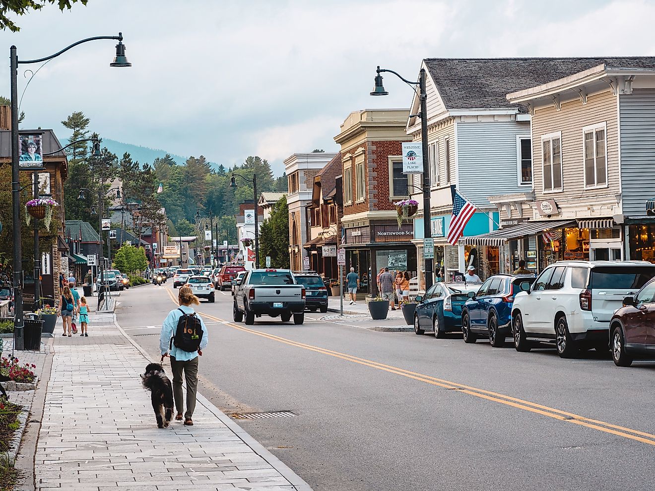 Dog walking along Main Street in downtown Lake Placid, New York. Editorial credit: Karlsson Photo / Shutterstock.com