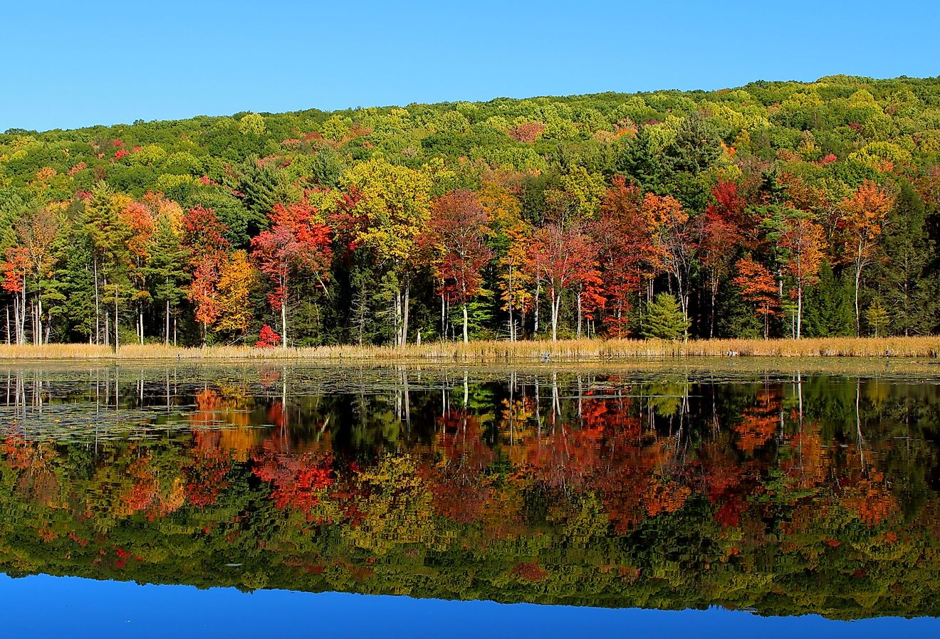 Landscape picture of autumn multicolored trees reflecting in water, shot in Stockbridge, Massachusetts