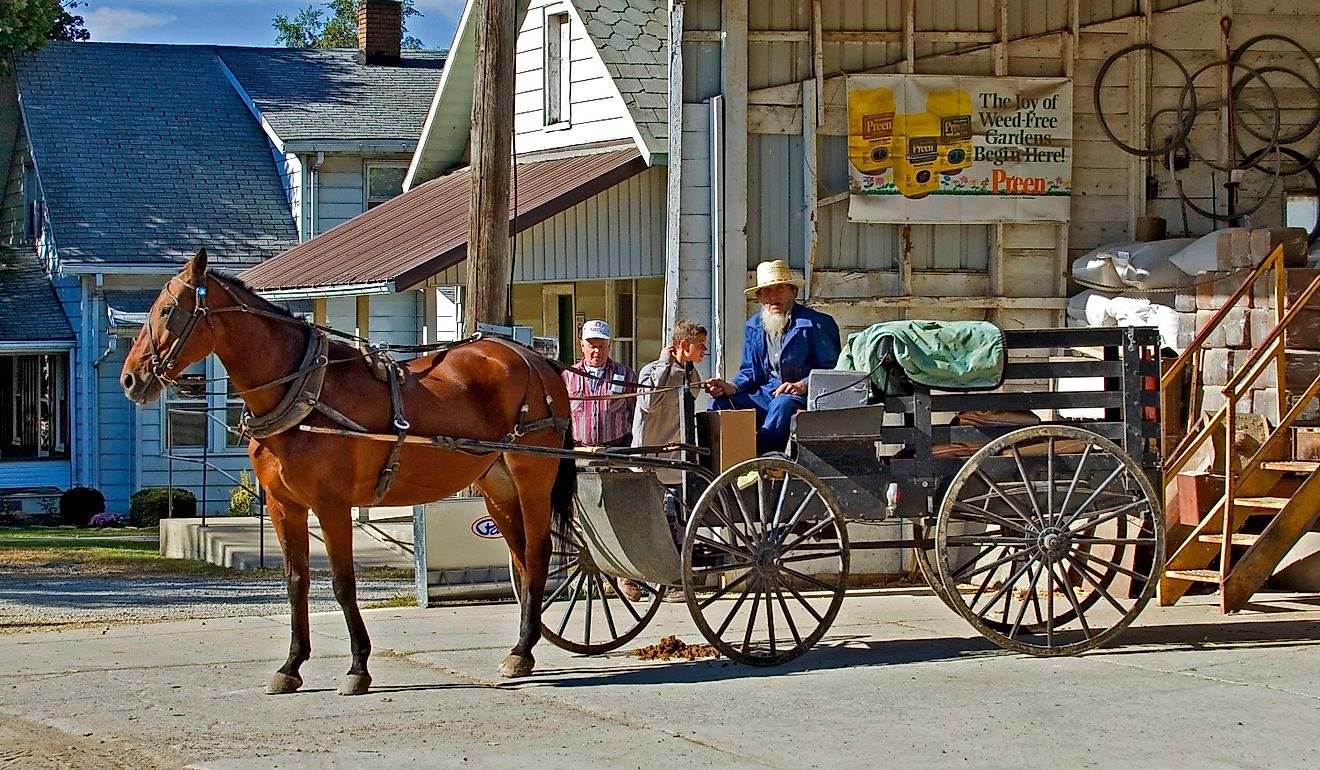 Amish couple in horse and buggy in Shipshewana Indiana. Editorial credit: Dennis MacDonald / Shutterstock.com