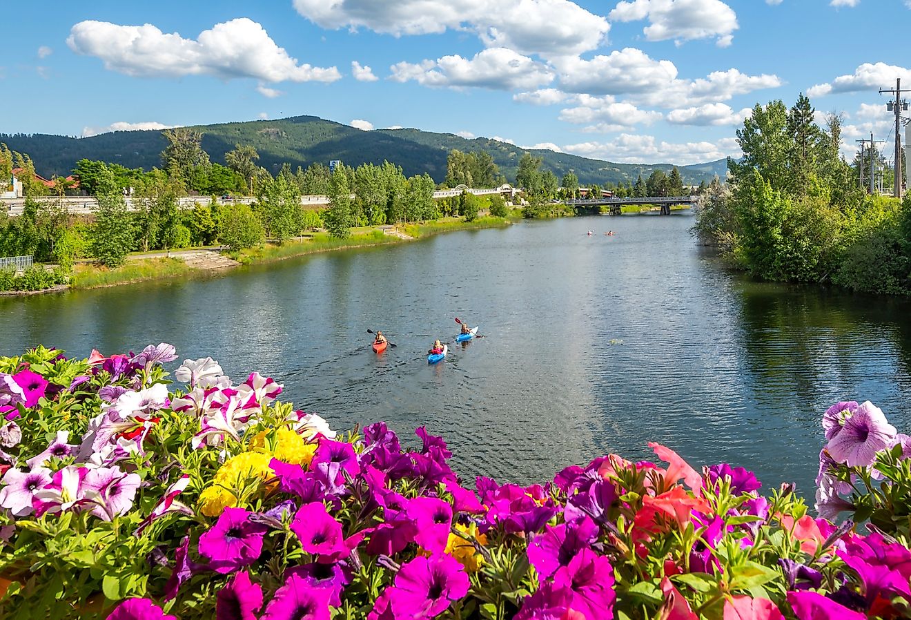 A group of kayakers enjoy a beautiful summer day on Sand Creek River and Lake Pend Oreille in the downtown area of Sandpoint, Idaho. 