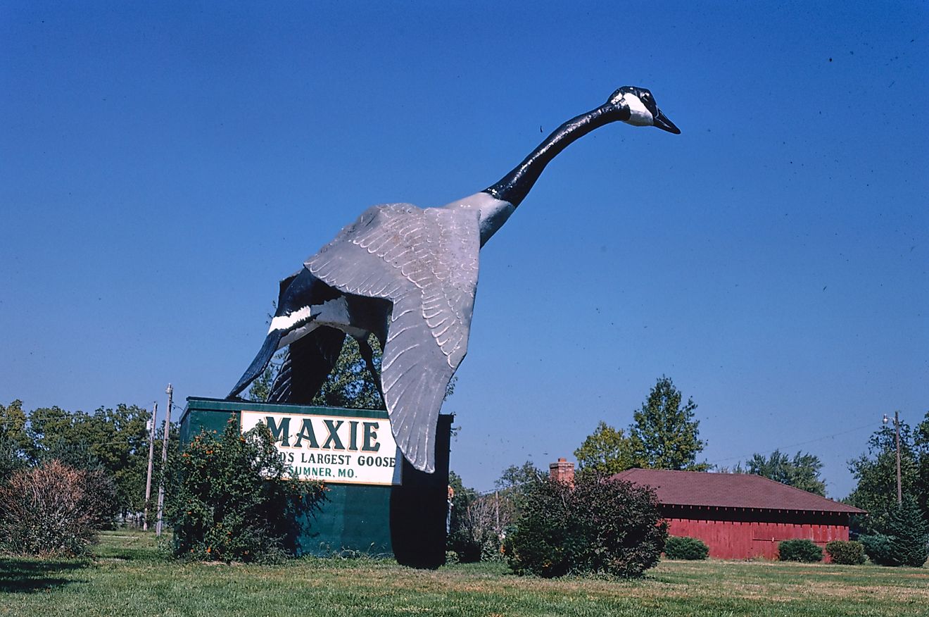 Maxie-world's largest goose, Sumner, Missouri. Image credit: John Margolies by Rawpixel.