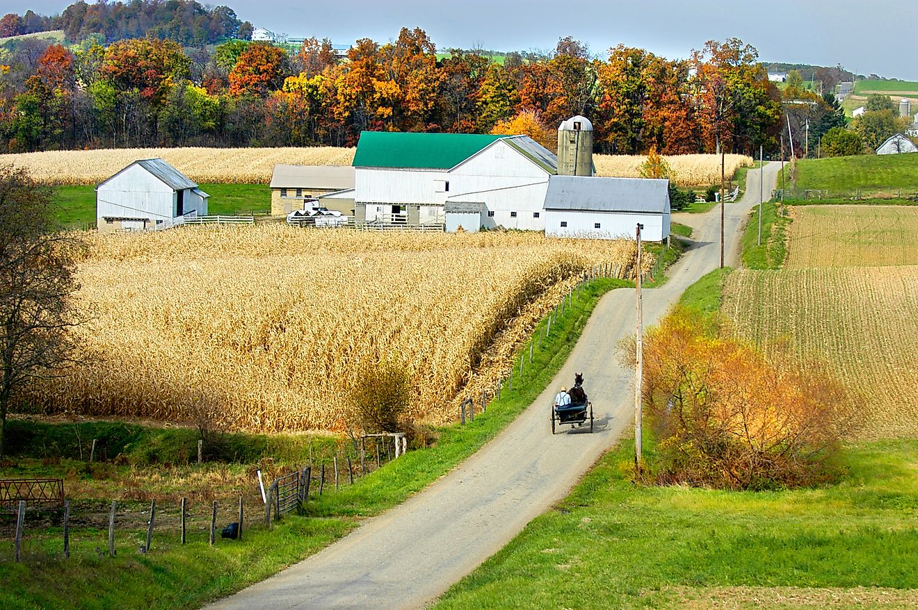 Fall colors in Millersburg, Ohio. Editorial credit: Dennis MacDonald / Shutterstock.com