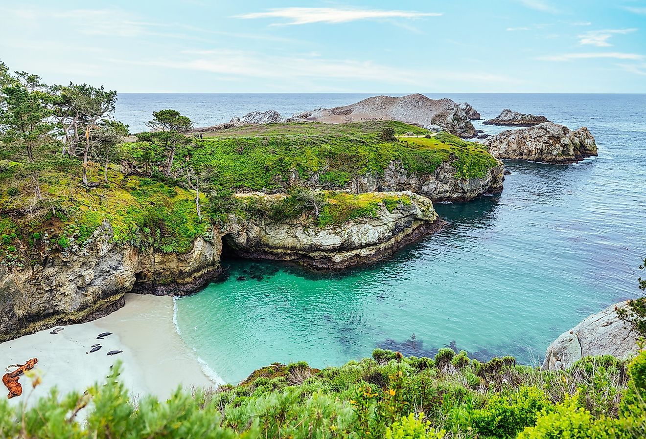 Point Lobos State Natural Reserve State Park, Carmel, Monterey County, California.