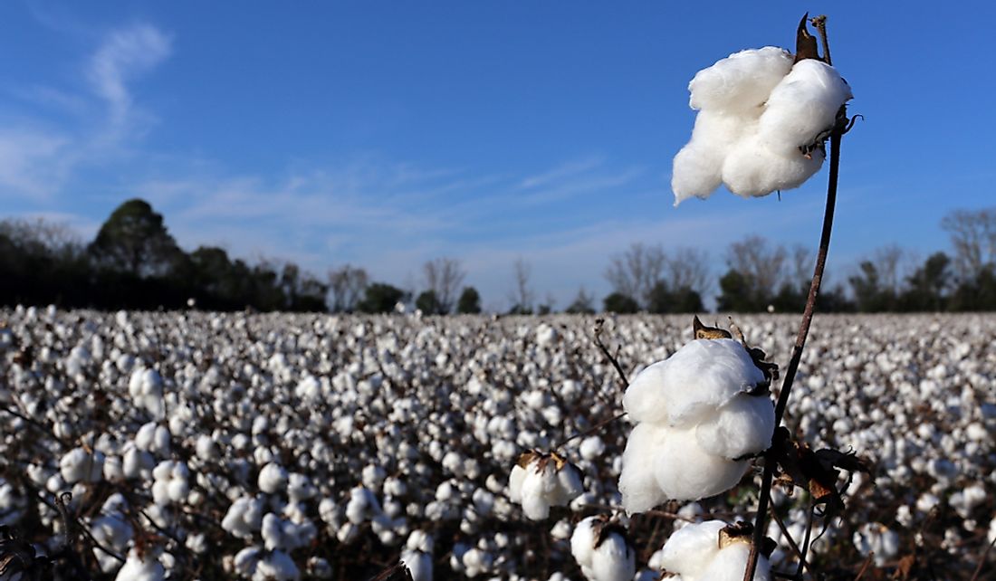 Top Cotton Producing Countries In The World - WorldAtlas