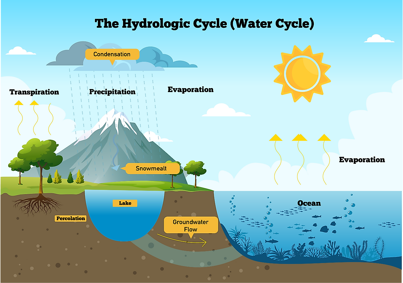 water cycle essay in odia