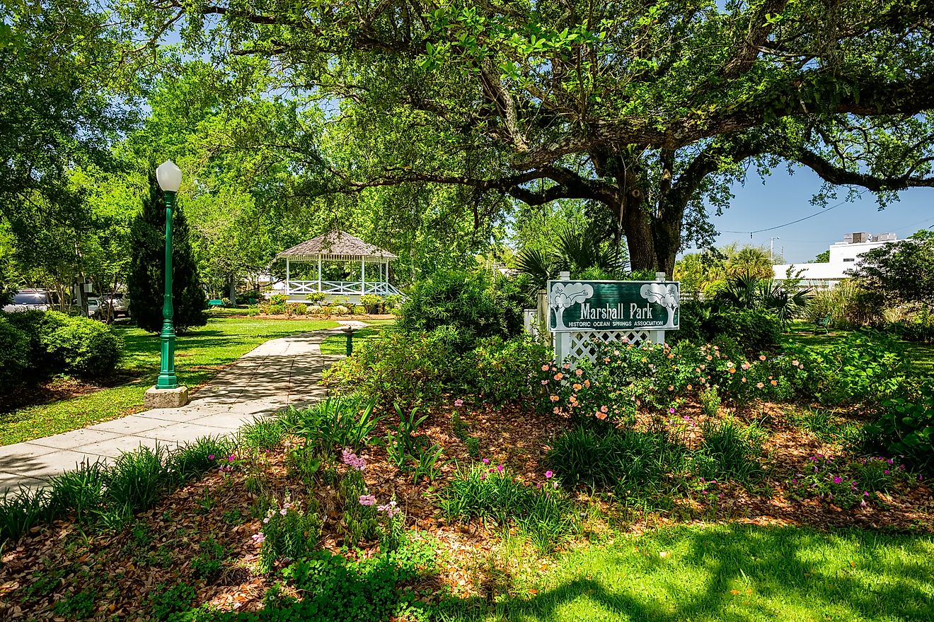 Verdant foliage in Marshall Park in Ocean Springs, Mississippi. Editorial credit: Fotoluminate LLC / Shutterstock.com