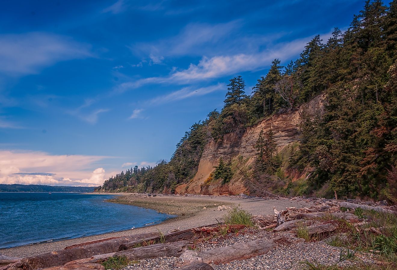 Camano Island Beach Sand, rock, and driftwood beach curving into a rock and evergreen covered point with brilliant blue sky and water. Image credit Mike via Adobe Stock. 