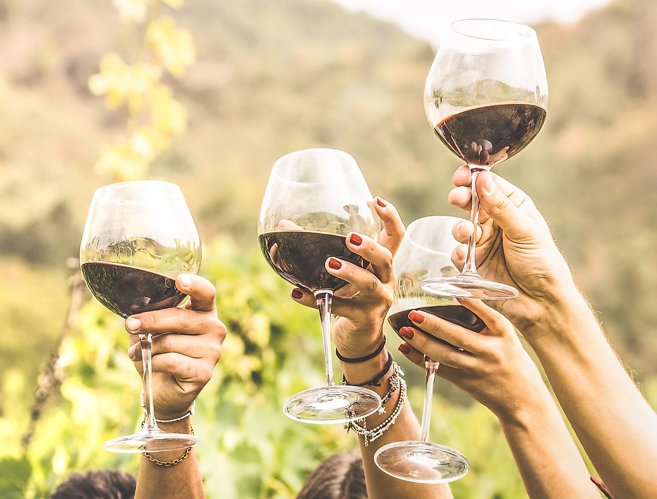 Hands toasting red wine glass and friends having fun cheering at winetasting experience.