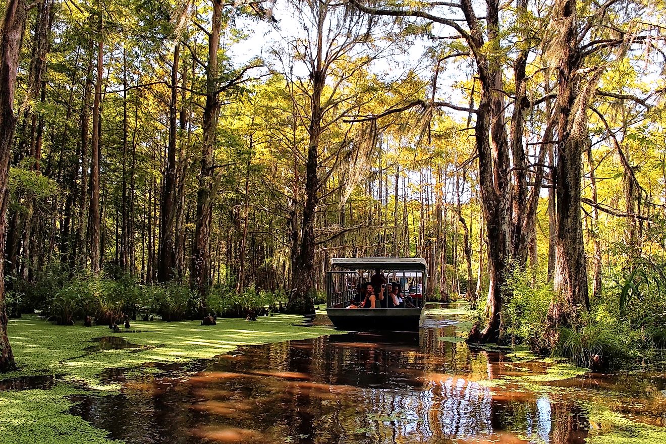 The Barataria Swamps around New Orleans, Louisiana. Editorial credit: LB Houston / Shutterstock.com.