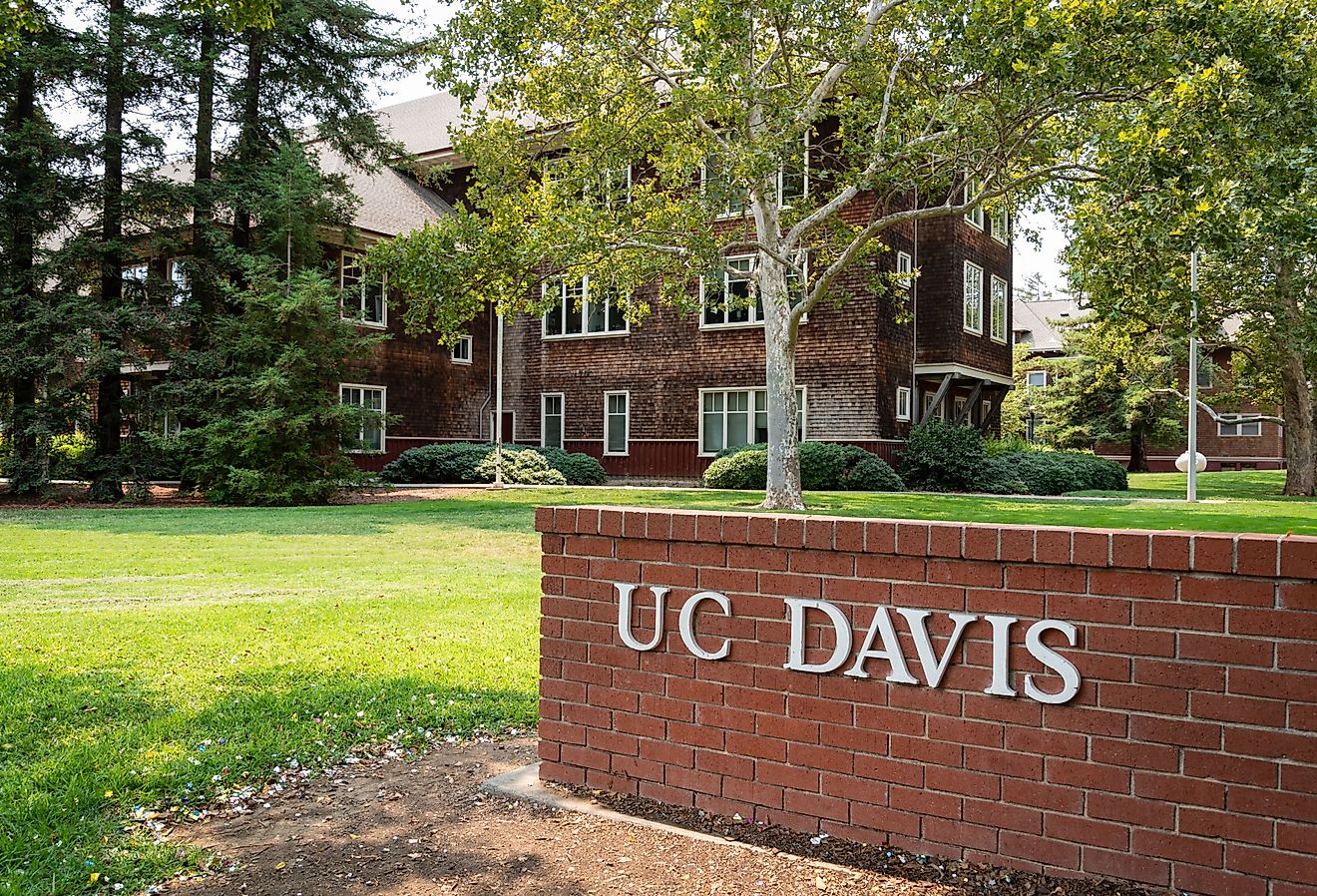  A photo of the original brick gate entrance to U.C. Davis in California's Sierra Nevada.