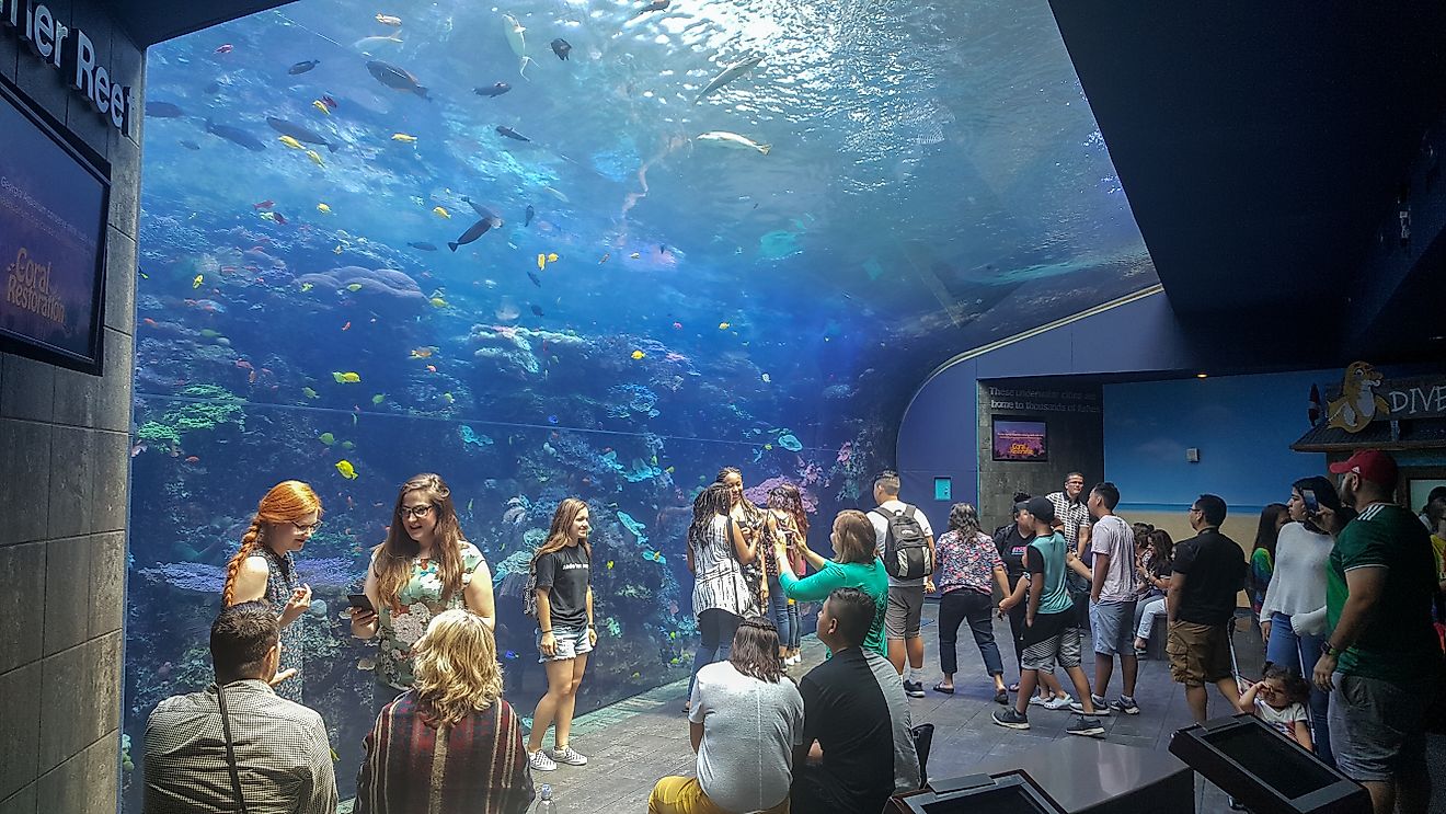 Atlanta, Georgia: Georgia Aquarium, via Ravenash / Shutterstock.com