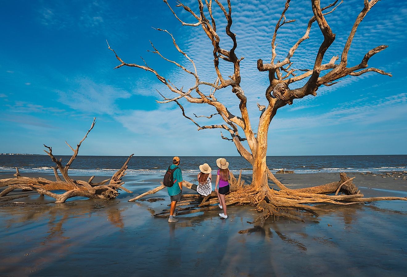 Family standing on Driftwood Beach on Jekyll Island, Georgia.